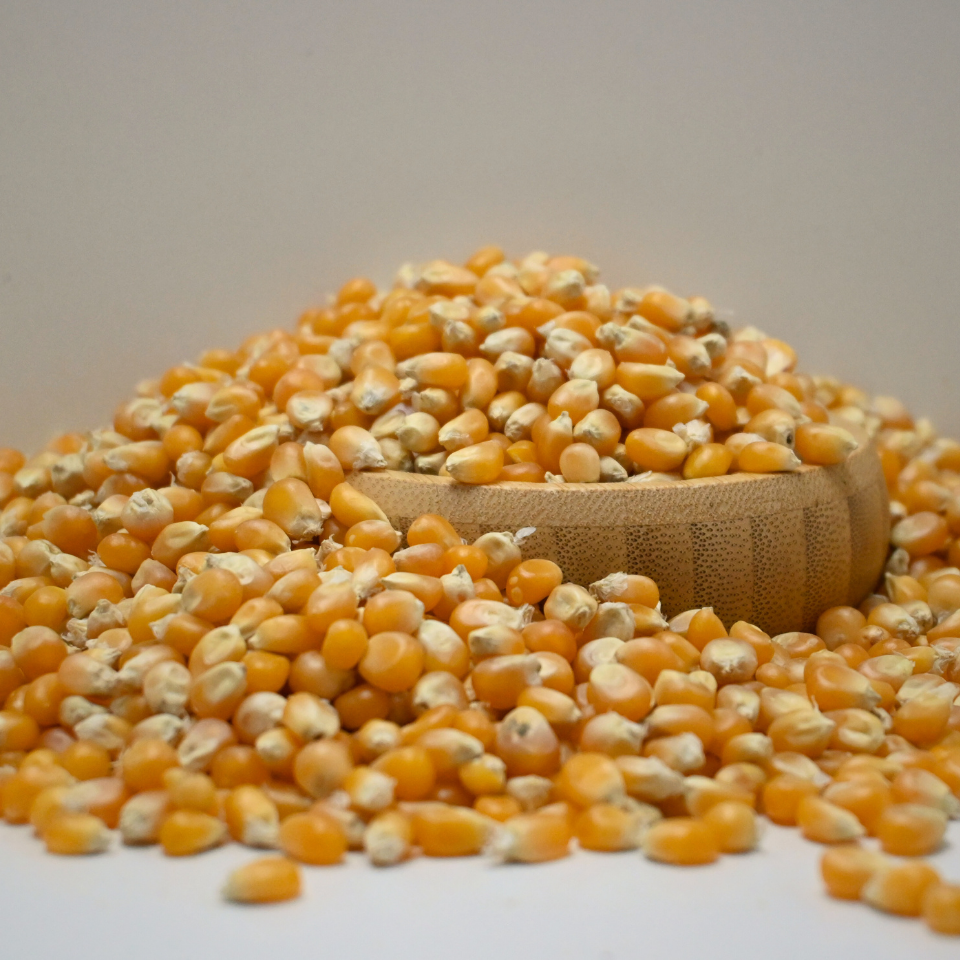 Cin Mısır 250 Gr